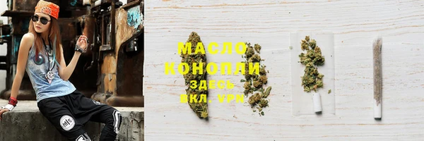 сатива Новозыбков