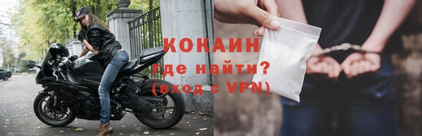 сатива Новозыбков