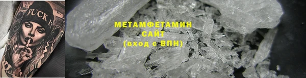 сатива Новозыбков