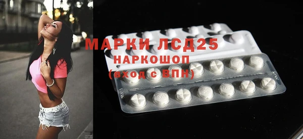 шишки Баксан