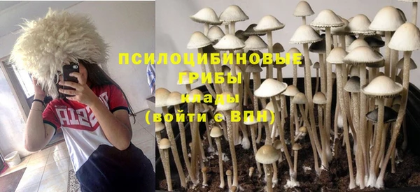 крисы Балабаново