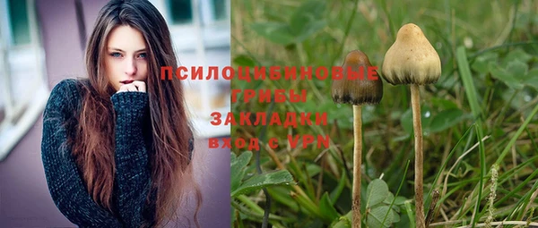 крисы Балабаново