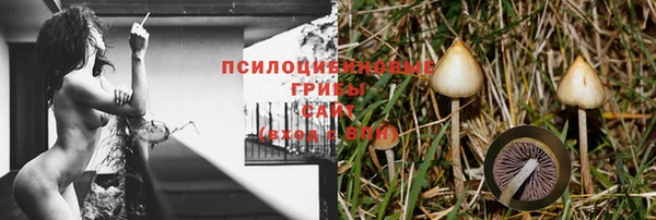 шишки Баксан