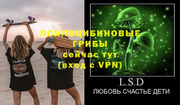 шишки Баксан